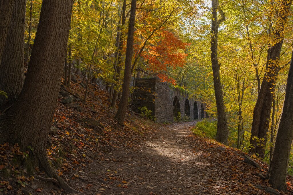 Old Croton Aqueduct trail through autumn woods